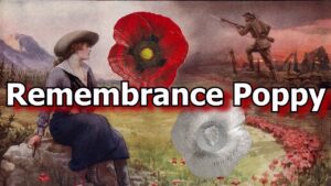 Remembrance poppy silver coin from cook islands