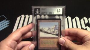 Mtg alpha taiga bgs 8.5 edges 10 surface 8.5 corners 8.5 cent 8.5