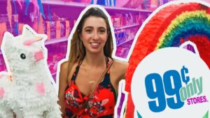 9 amazing things you wouldn’t believe are 99 cents only – 99 cents only store haul