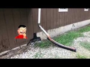 Basic home maintenance tips to check before putting your home on the market.