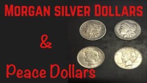 Morgan Silver Dollars.