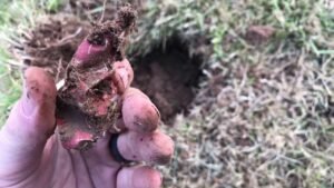 Epic First Time Metal Detecting Hunt……..Fail