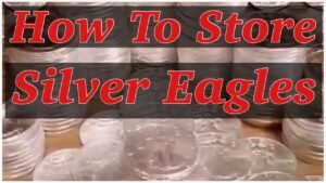How to store Silver Eagles
