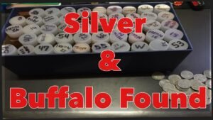 Silver and buffalo found