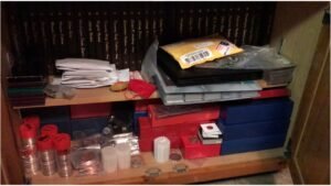 My coin collection is growing