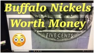 Buffalo nickels: coin collection