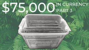 $75,000 WORTH OF WORLD BANKNOTES Part 3 – Most Valuable World Banknote & Paper Money