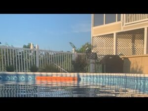 Just testing live feature