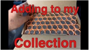 Hunting and adding to my quarter collection