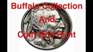 Buffalo collection and nickel hunt