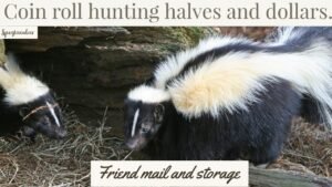 Coin roll hunting halves and dollar coins. Plus friend mail and storage.