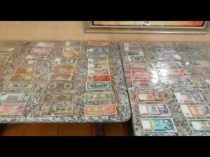 My bank notes and coin exhibition on sea ( cruise ship )