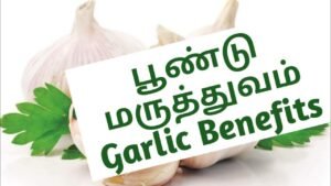 Health Benefits of Garlic/Garlic Nutrition Facts/ in Tamil/ Master Mano பூண்டின் மருத்துவ பயன்கள்