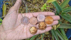 One pice horse coin value | एक पैसे के घोड़े वाले सिक्के महंगे होते है ₹ 25,000