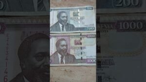 Kenya currency/country full information