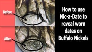 Using Nic a Date to restore dates on Nickels