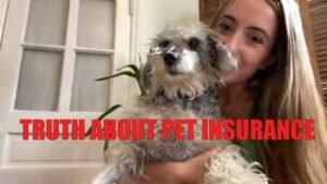 The Truth About Pet Insurance