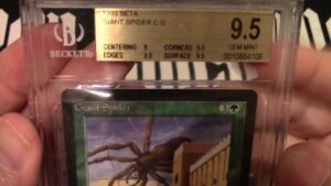 Beta Giant Spider 9.5 basic up for grabs!