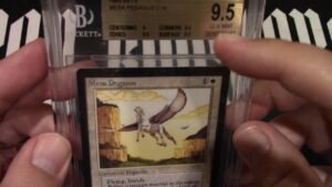 Beta Mesa Pegasus 9.5 Basic Up for grabs!