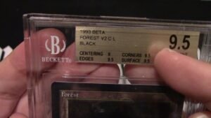 Forest V2 Beta 9.5 Basic up for grabs!