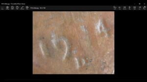 Don’t Buy That 1914 D Penny! I Tell you Why.