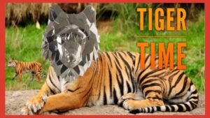 American Wildlife Explorer: The Great Bengal Tiger #silverstacking #coincollecting #silver #gold