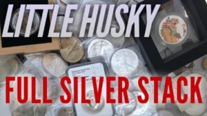 Full Stack Video: Youngest Little Silver Husky