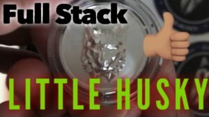 Full Stack Silver: Little Green Husky’s Stack!