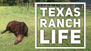 Farm Life: Texas Edition