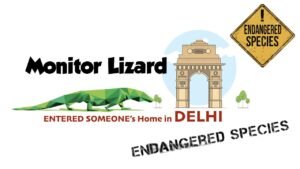 Monitor Lizard Delhi | Endangered Species in India in Hindi | Current Affairs 2020 | UPSC Prelims