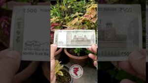 500 Rupees note Set sold for 50000 Rs l Indian Coin Mill Shorts