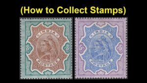 11. Hobbies & Interest Video Series – (How to Collect Stamps)