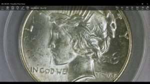 Complete Peace Dollar Collection Appraisal – How Did I do?