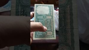 6 Deer note information with price #shorts