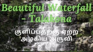 Beautiful Waterfall Suitable for Bathing ! |குளிப்பதற்கு ஏற்ற அழகிய அருவி |Tami l Master Mano | V77