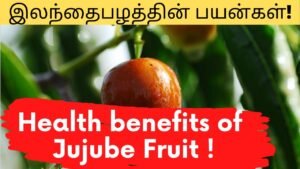 What are the medicinal properties of jujube fruits? | இலந்தைபழம் பயன்கள் | Tamil | Master Mano ||V75