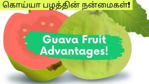 Guava Fruit Advantages! | கொய்யா பழத்தின் நன்மைகள்! | Master Mano || Tamil | V74