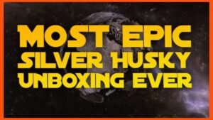 I Ordered More Silver: And Then This Happened…