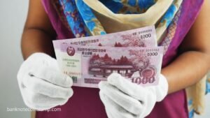 Beautiful World Banknotes Order Packing on COD