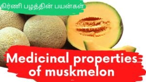 Why muskmelon is healthy for you! | முலாம் (அ) கிர்ணி பழத்தின் பயன்கள் | Tamil | Master Mano | V78