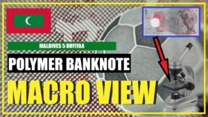 Maldives 5 Rufiyaa || Polymer Banknote || Macro View