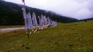 Yumthang Valley (HD) || North Sikkim