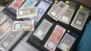 Indian Rupees Currency Collection Wholesale