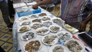 Indian Cheap Coins Marketplace