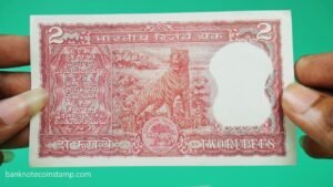 Indian Tiger Currency and Collectible Banknotes Order Packing