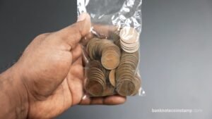 1954 One Pice Horse Indian Coin