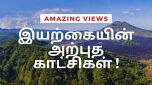 Amazing views seen while traveling in the Car ! | இயற்கை காட்சிகள் | Tamil | Master Mano | MM | V88