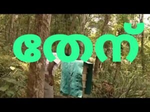 തേന് – HONEY 🍯