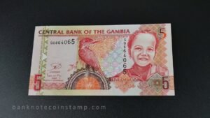 World Banknotes Packing