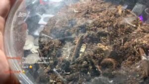 Live coins and fun! Let’s chit chat.